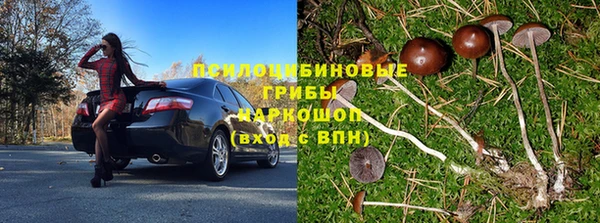 таблы Новозыбков