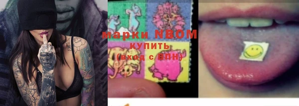 гидропоника Новокубанск