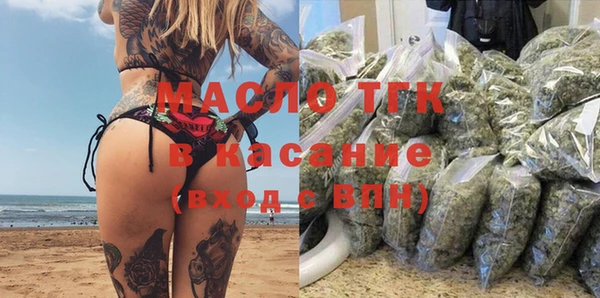 эйфоретик Няндома