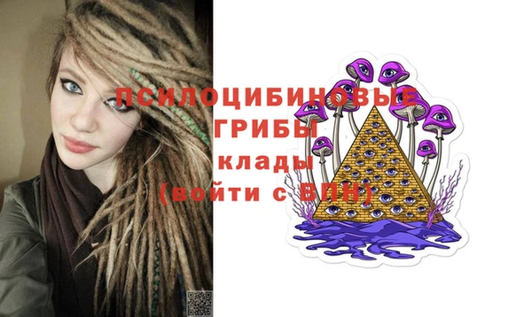 эйфоретик Няндома