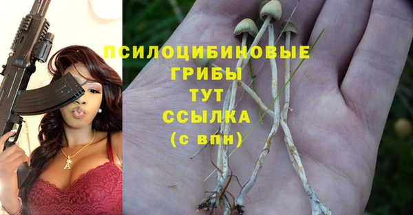 прущие крисы Нязепетровск