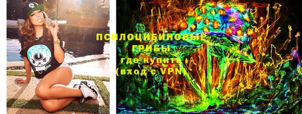 эйфоретик Няндома