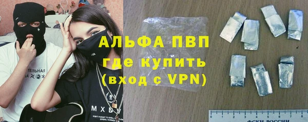 эйфоретик Няндома