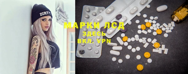 таблы Новозыбков