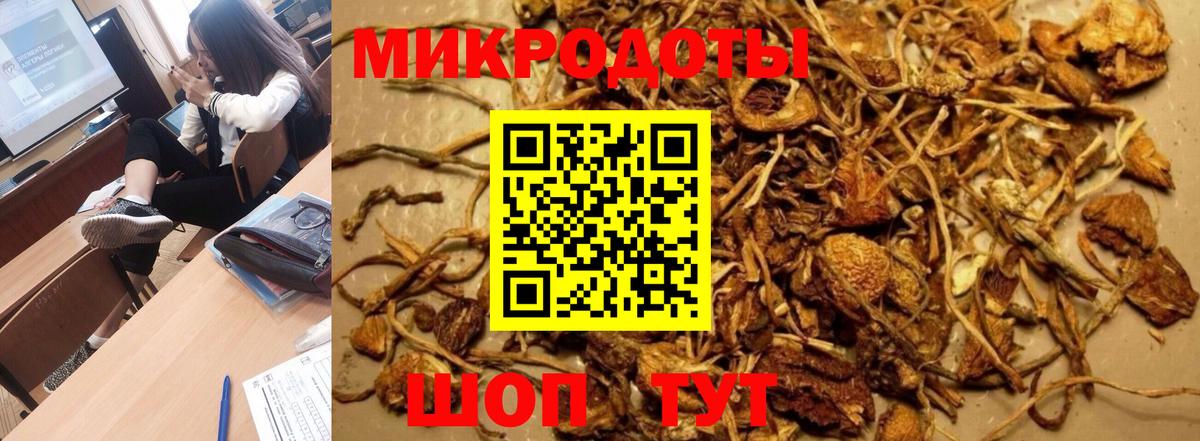Шадринск  Псилоцибиновые грибы Psilocybe  Псилоцибиновые грибы Psilocybe  купить  цена  Вход с VPN 