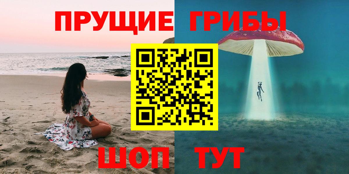Галлюциногенные грибы Psilocybine cubensis Шадринск